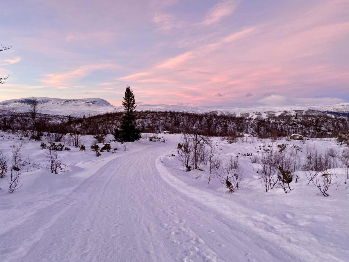 Hotel Hakkesetstolen Fjellstugu Geilo Exteriér fotografie