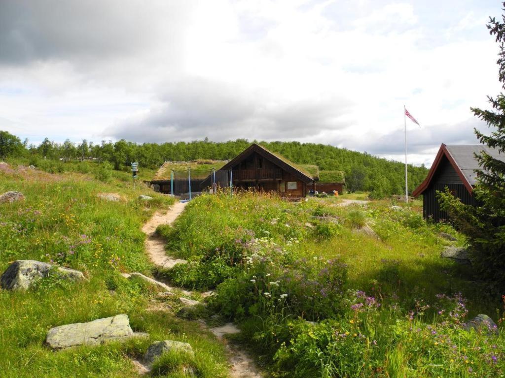 Hotel Hakkesetstolen Fjellstugu Geilo Exteriér fotografie