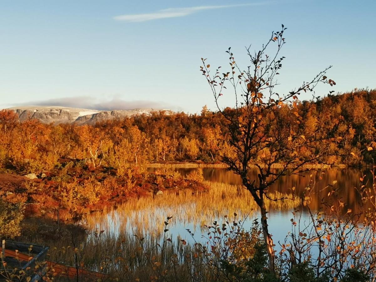 Hotel Hakkesetstolen Fjellstugu Geilo Exteriér fotografie