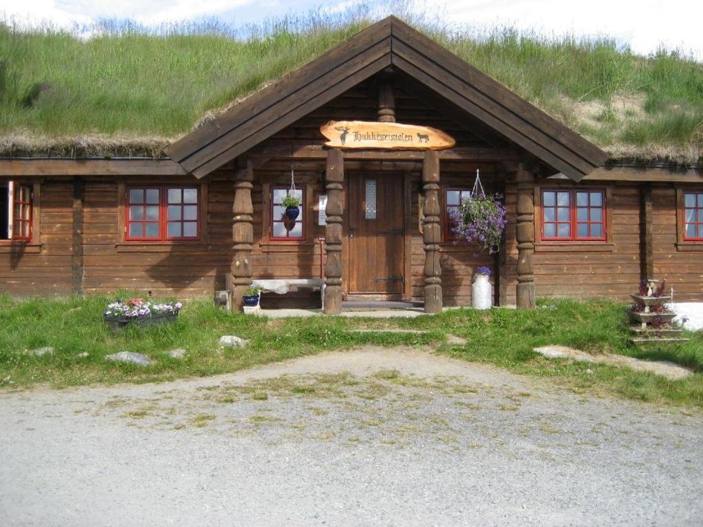 Hotel Hakkesetstolen Fjellstugu Geilo Exteriér fotografie